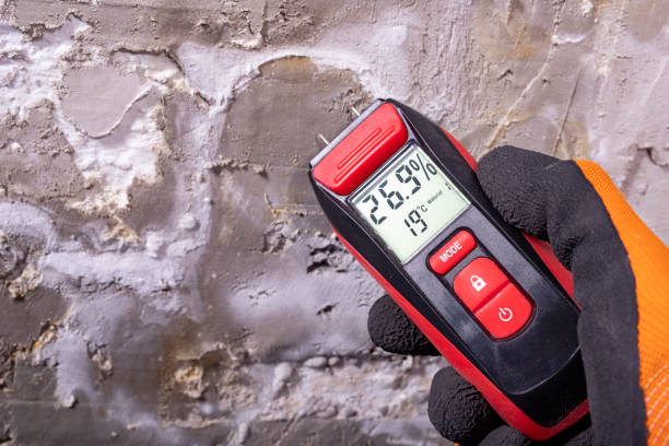 Best Home Mold Removal  in Bluffdale, UT
